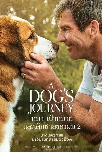 ดูหนังออนไลน์ A Dog’s Journey (2019) หมา เป้าหมาย และเด็กชายของผม 2