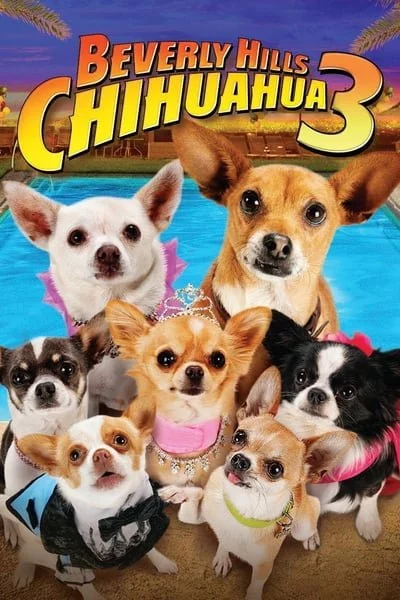 ดูหนังออนไลน์ Beverly Hills Chihuahua 3 Viva La Fiesta (2012) คุณหมาไฮโซ โกบ้านนอก ภาค 3