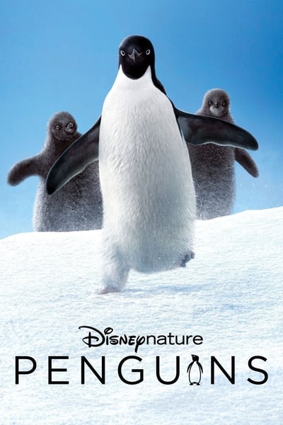 ดูหนังออนไลน์ Penguins (2019)