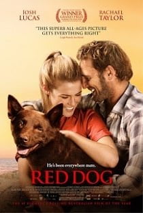 ดูหนังออนไลน์ฟรี Red Dog (2011) เพื่อนซี้หัวใจหยุดโลก