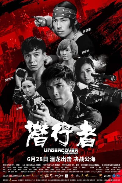 ดูหนังออนไลน์ Undercover Punch and Gun (2019) ทลายแผนอาชญกรรมระห่ำโลก